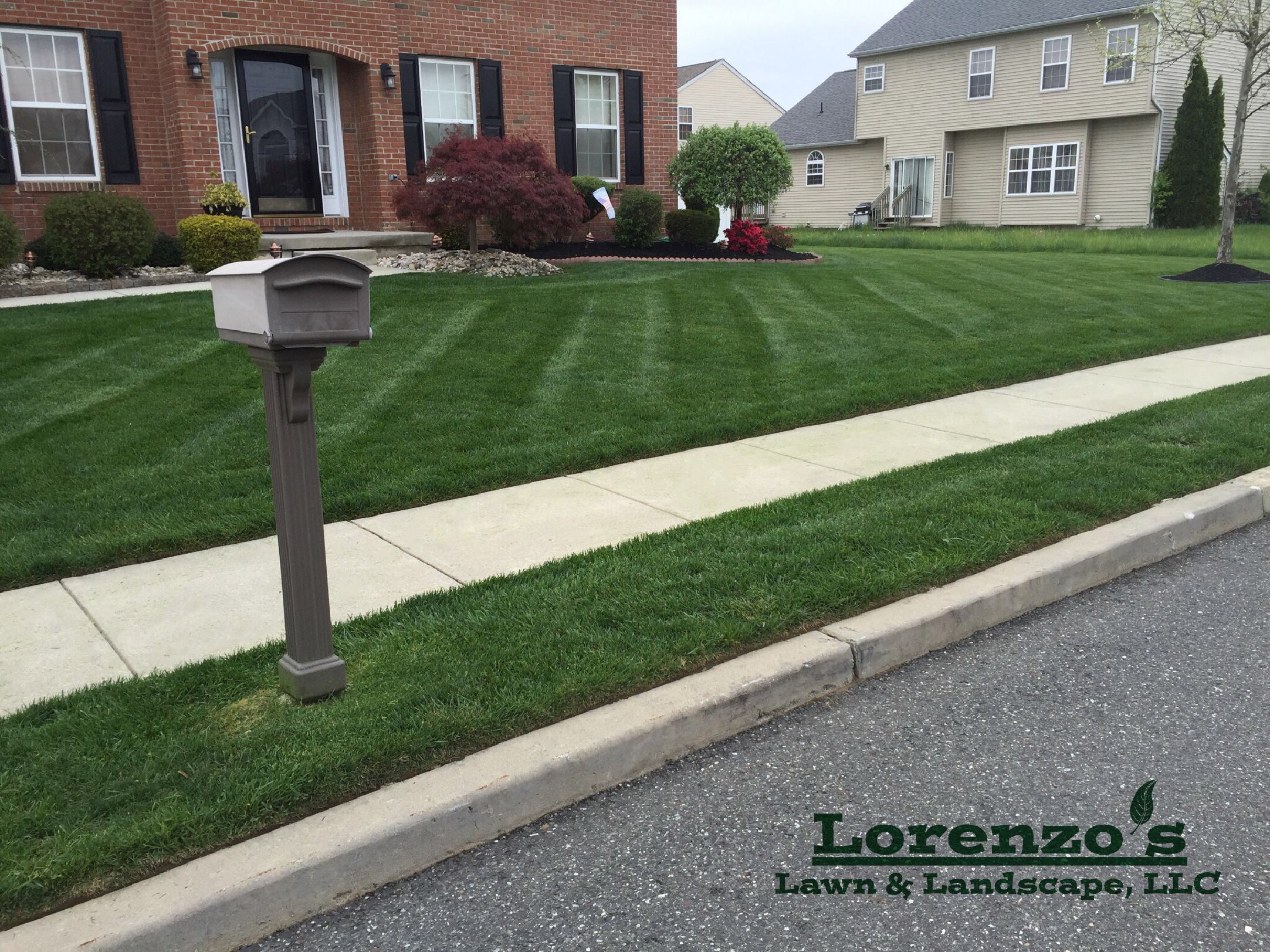 Lawn Maintenance